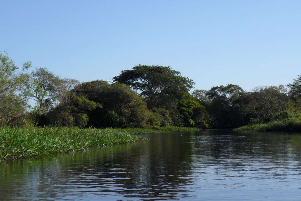 Pantanal boliviano: sequía, deforestación y megaobras acechan a la fábrica de agua del planeta