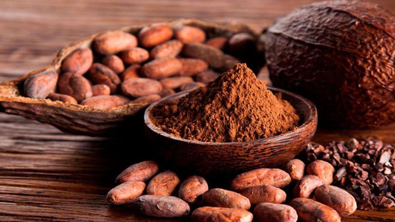 El cacao boliviano. Deleita paladares internacionales