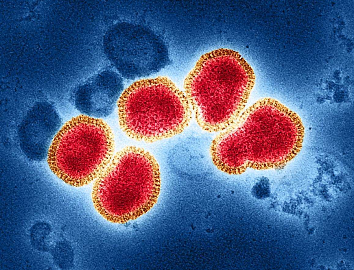 Los virus de la influenza A adaptan su forma en respuesta a las presiones ambientales