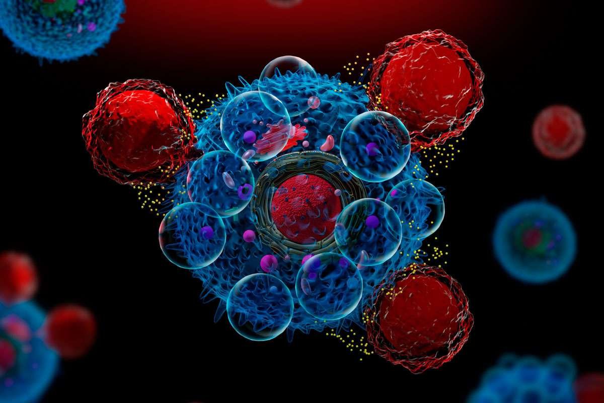 Las células cancerosas pueden cooperar para crecer