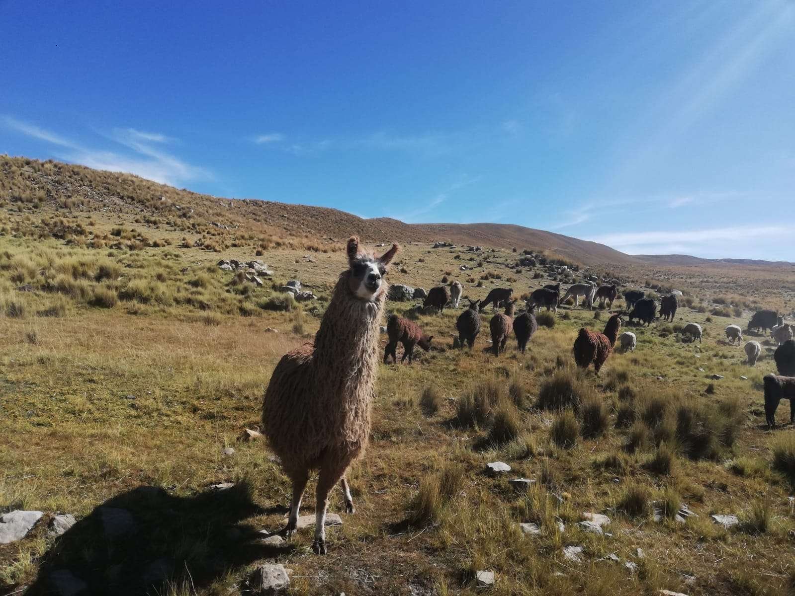 Los de arriba y los de abajo y los del medio