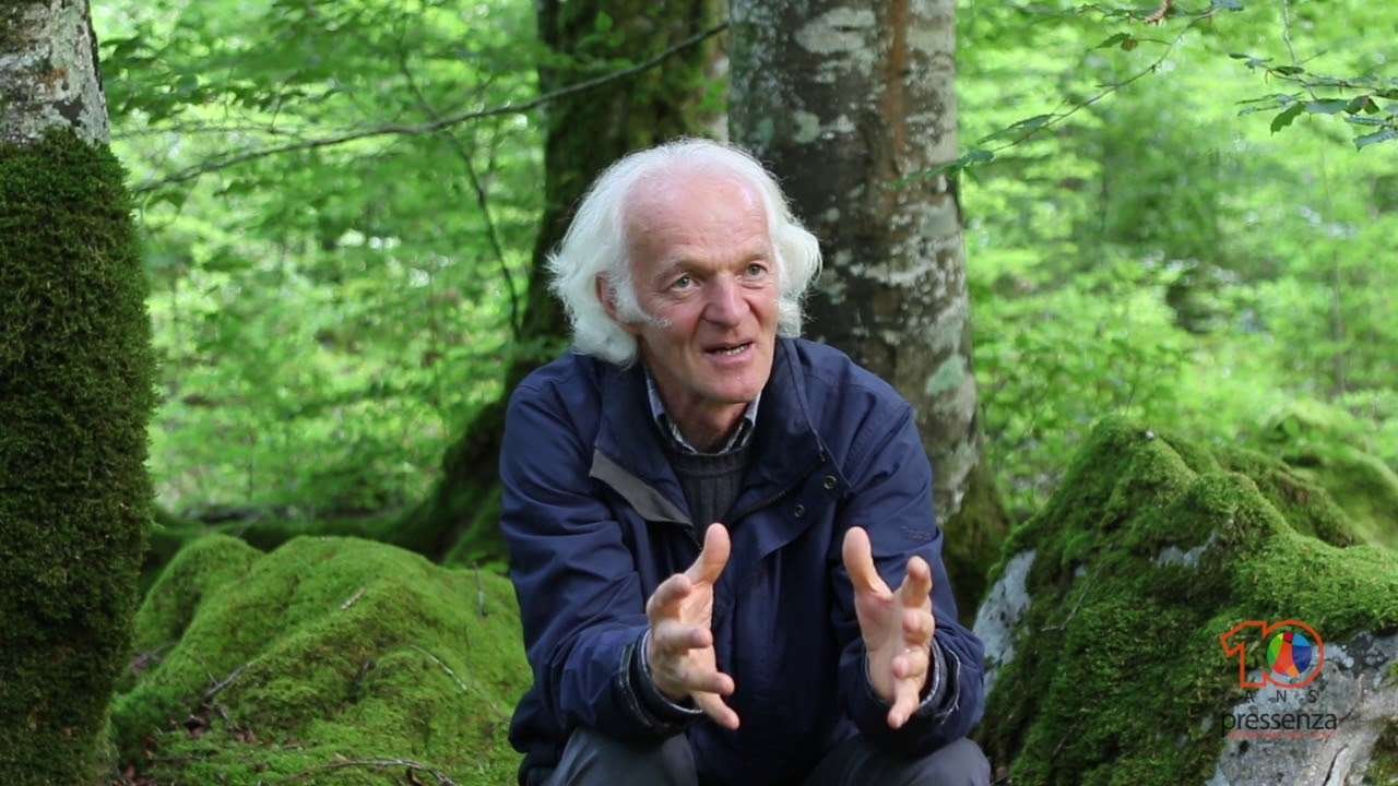 Ernst Zürcher. Los árboles en lo visible e invisible