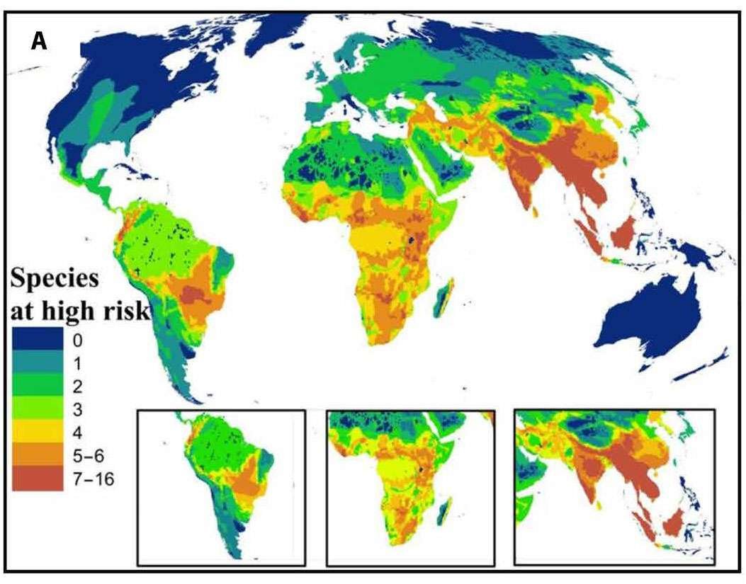 La presión del ser humano pone en riesgo la supervivencia de los carnívoros