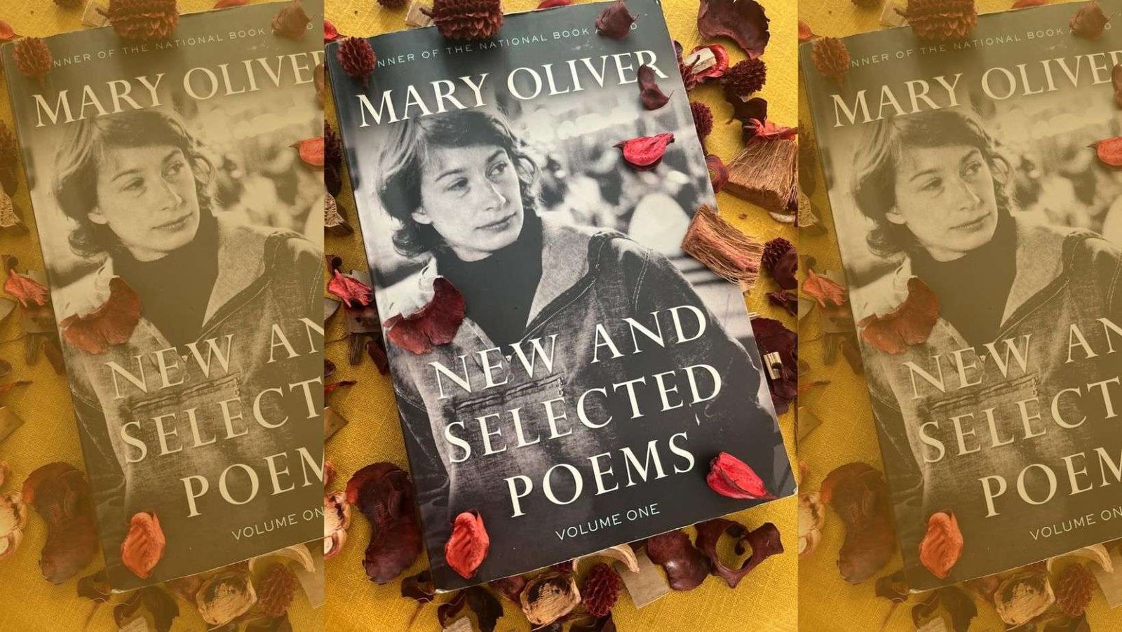 Poemas de Mary Oliver traducidos al español