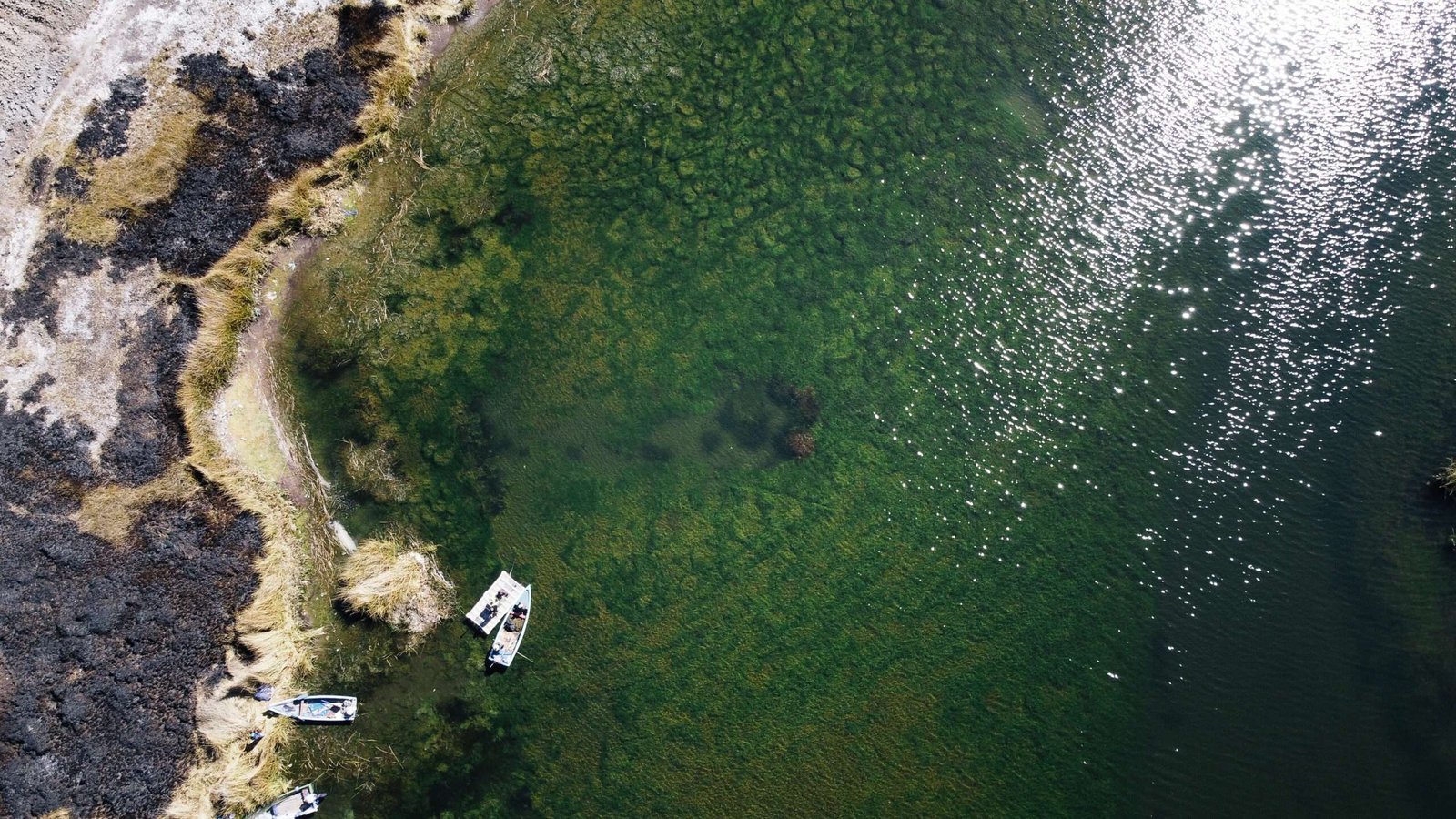 Conversatorio reunirá a expertos y comunidades para analizar propuestas de solución a la crisis del Lago Titicaca
