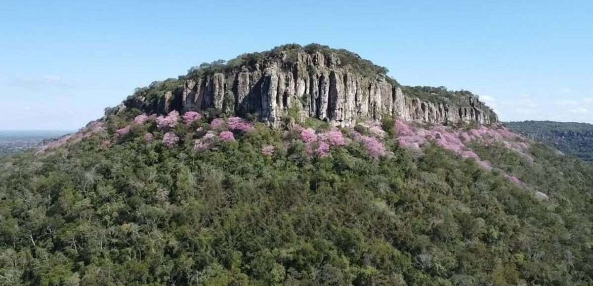 Llenando el vacío: Nace el Área Protegida Municipal Monte Carmelo para preservar el agua, los bosques y la vida silvestre