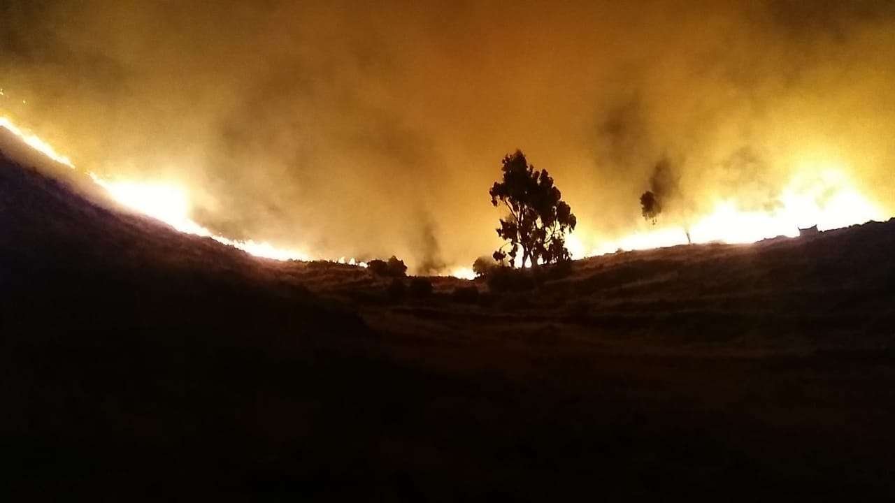 Bolivia inició 104 juicios a autores de quemas e incendios forestales y ya logró 4 sentencias