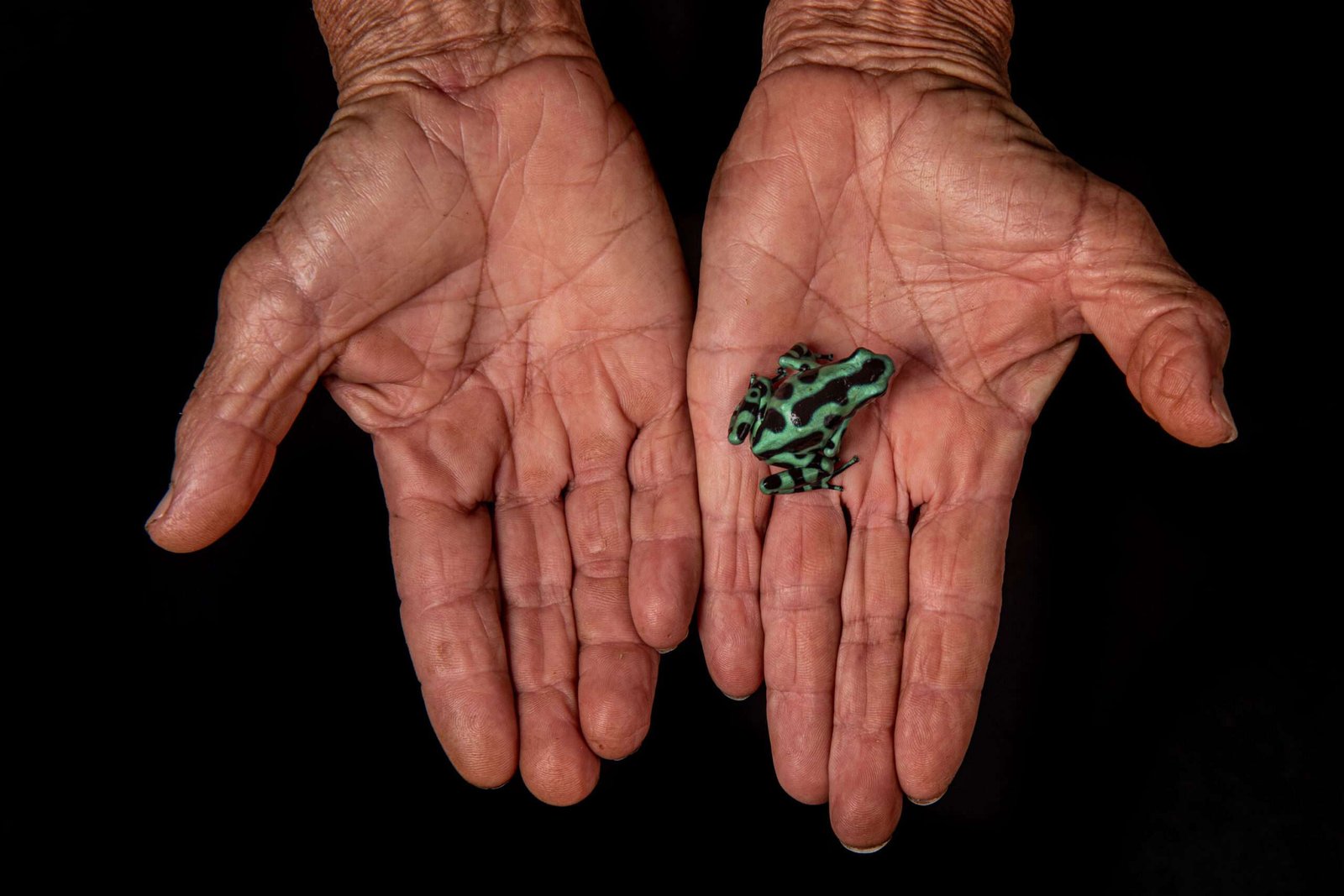 El MNCN aborda los impactos de la huella humana en la naturaleza a través de las fotografías de Javier Lobón-Rovira