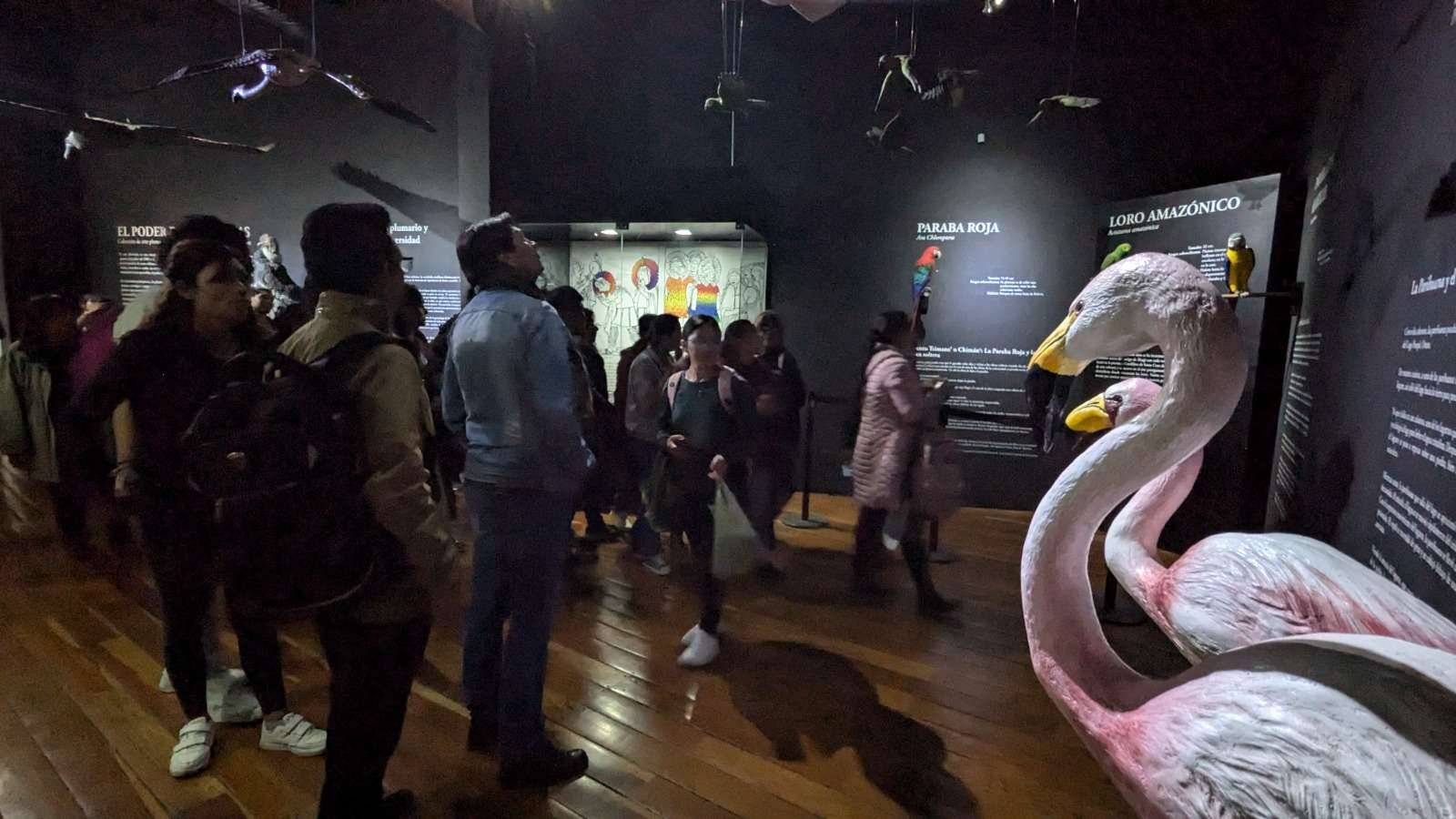El MUSEF abre sus puertas a los colegios nocturnos: democratizando la cultura desde 2019