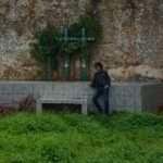 Las jugadas del gallito