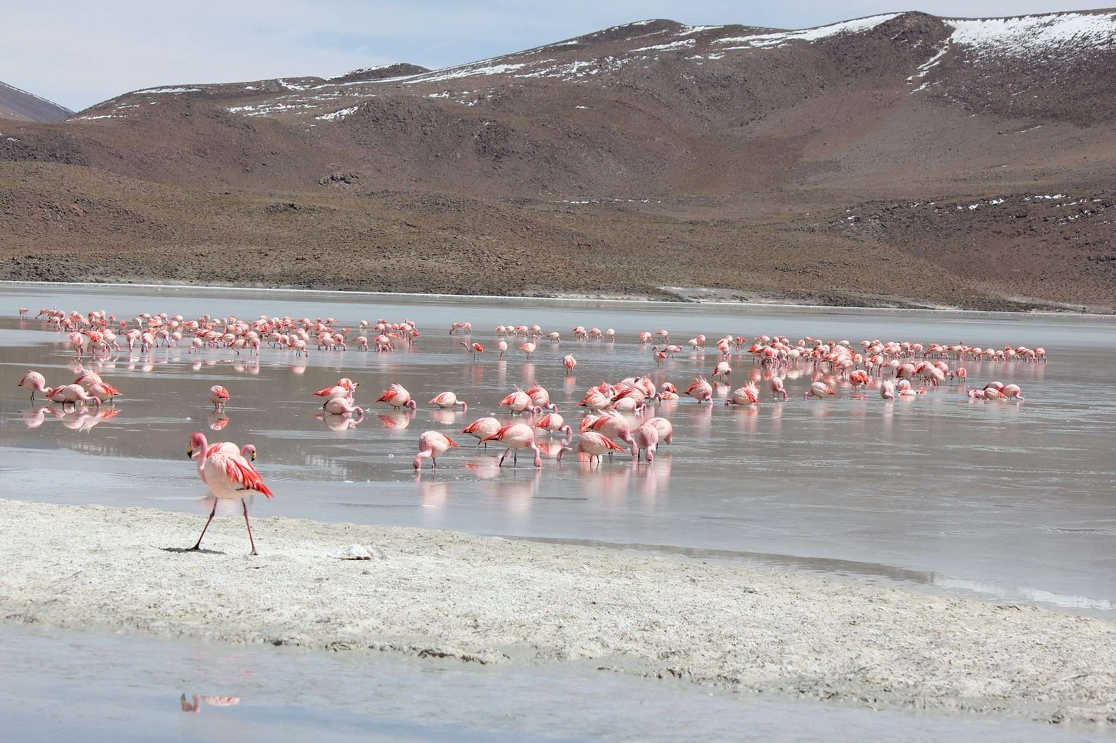 Avanza la ley de creación de geoparques y geositios en Bolivia