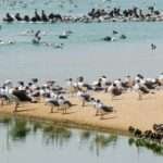 Emilio Losada: “Desde la rabia, la ternura y el vértigo”