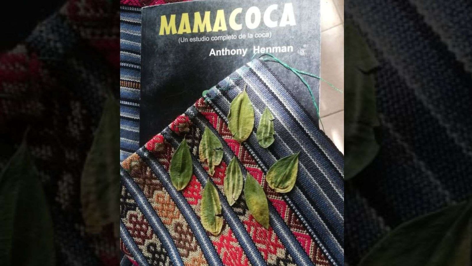 La presencia de las palomas, la ausencia de los caballos y la carencia de minerales en el suelo