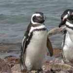 Noviembre, seis años después