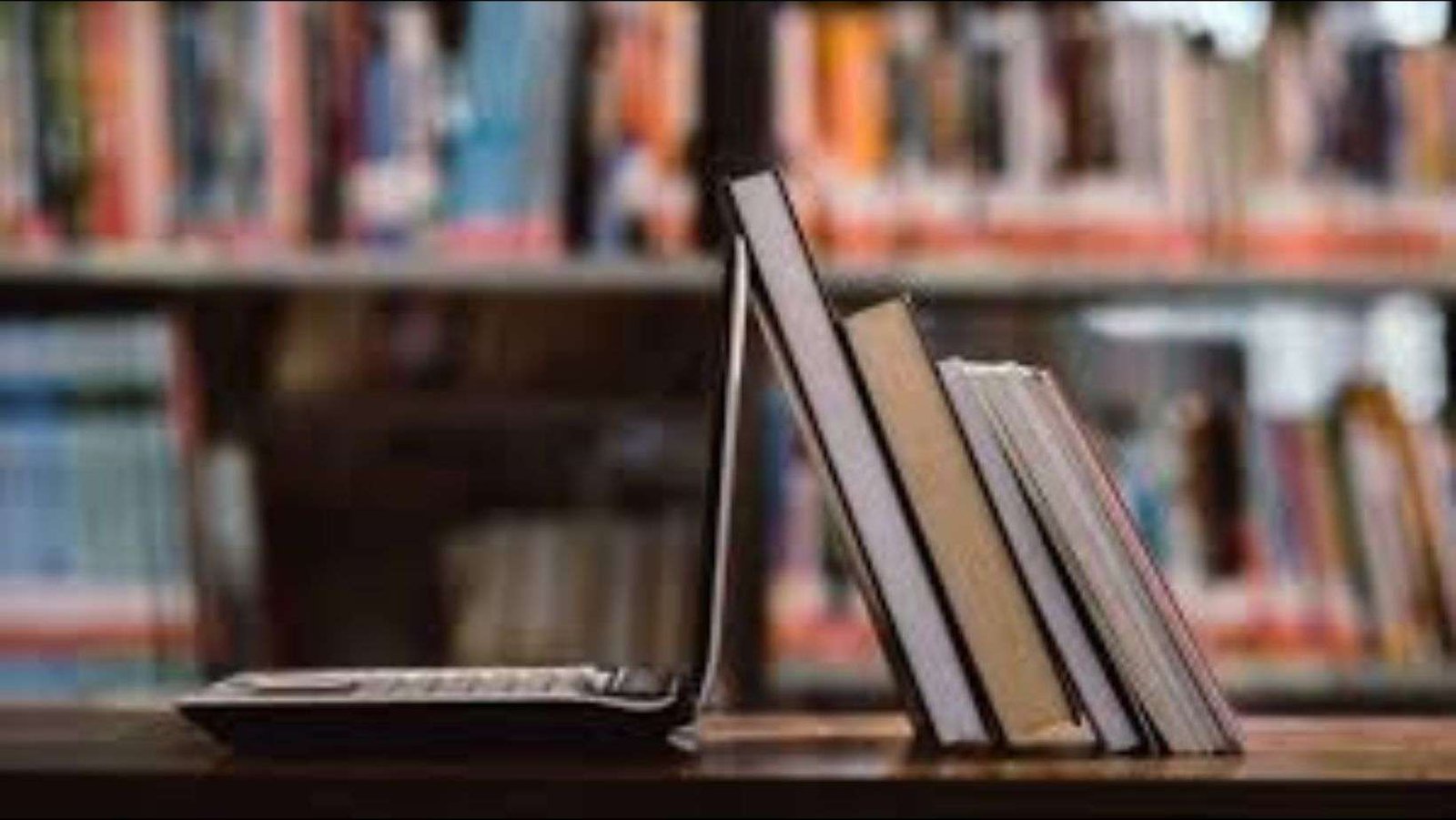 Formación profesional versus universidad de investigación: el dilema de la educación superior