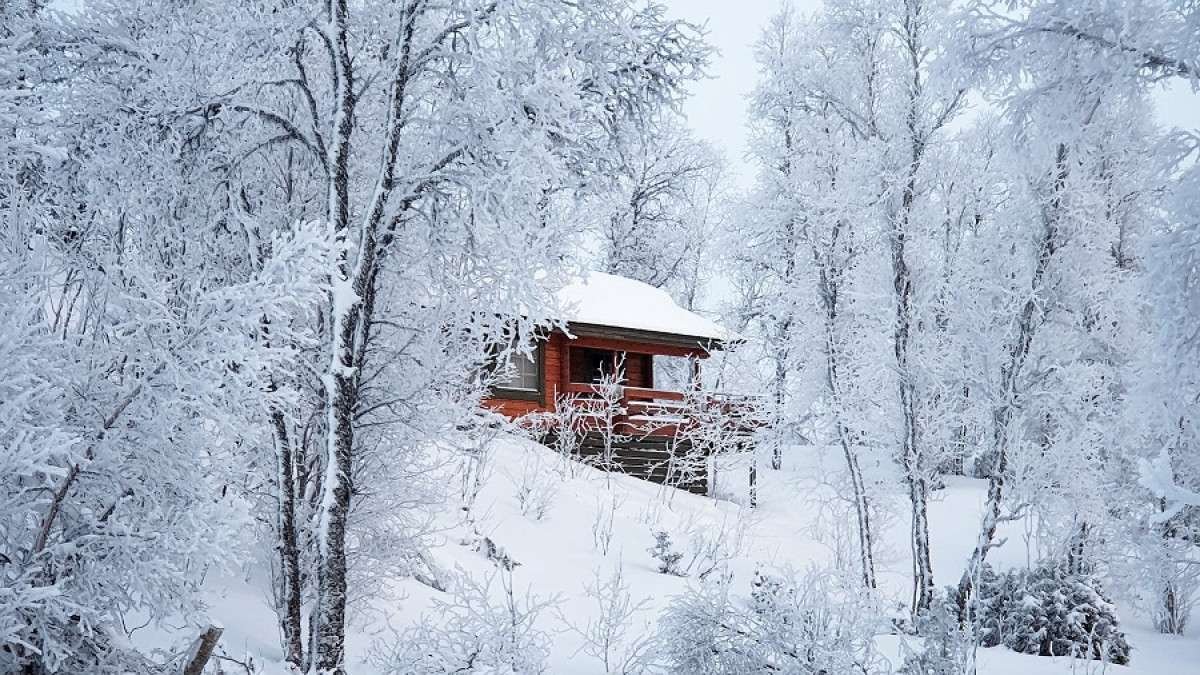 Recuerdos de invierno