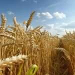 La Biblia y el crucifijo están de vuelta