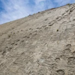 Bolivia, rumbo a la televisión digital