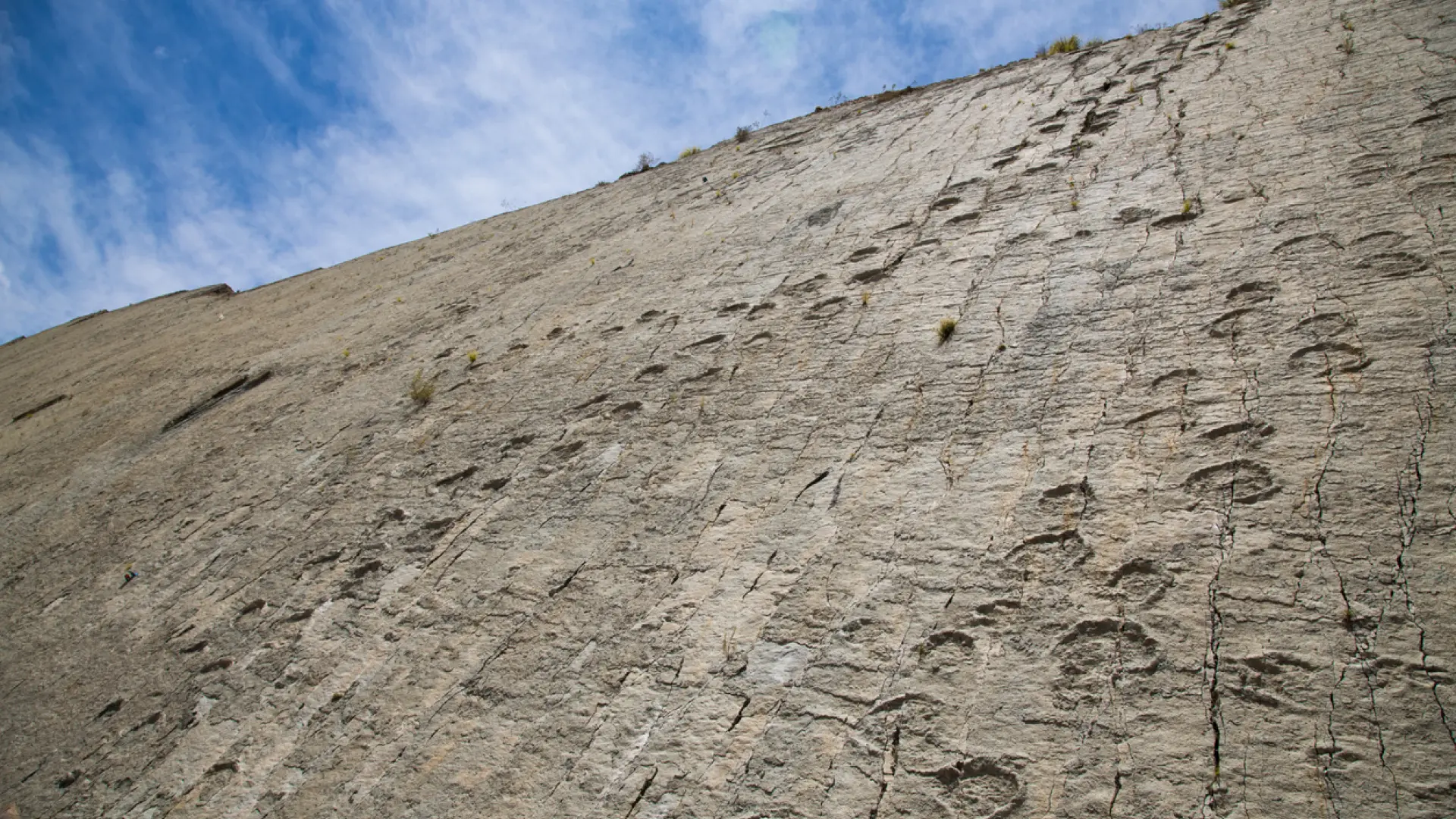 Cal Orck’o: el derrumbe que reavivó el debate sobre la conservación del mayor yacimiento paleontológico del mundo
