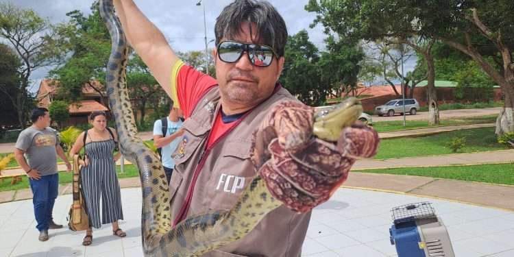 Bolivia: una de cada 10 especies corre el riesgo de desaparecer