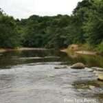 El relato de “minorías eficaces”