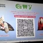 Escalada bélica en Medio Oriente: ataques de EE.UU. e Israel contra Irán desatan crisis global