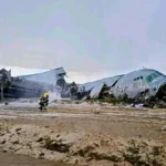 Therians: cuando lo viral eclipsa lo urgente