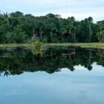 El país del destornillador sin plano