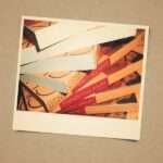 Y podrá ser político -¡qué dicha!-