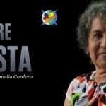 Gobernar por notificación: La derrota de la institucionalidad