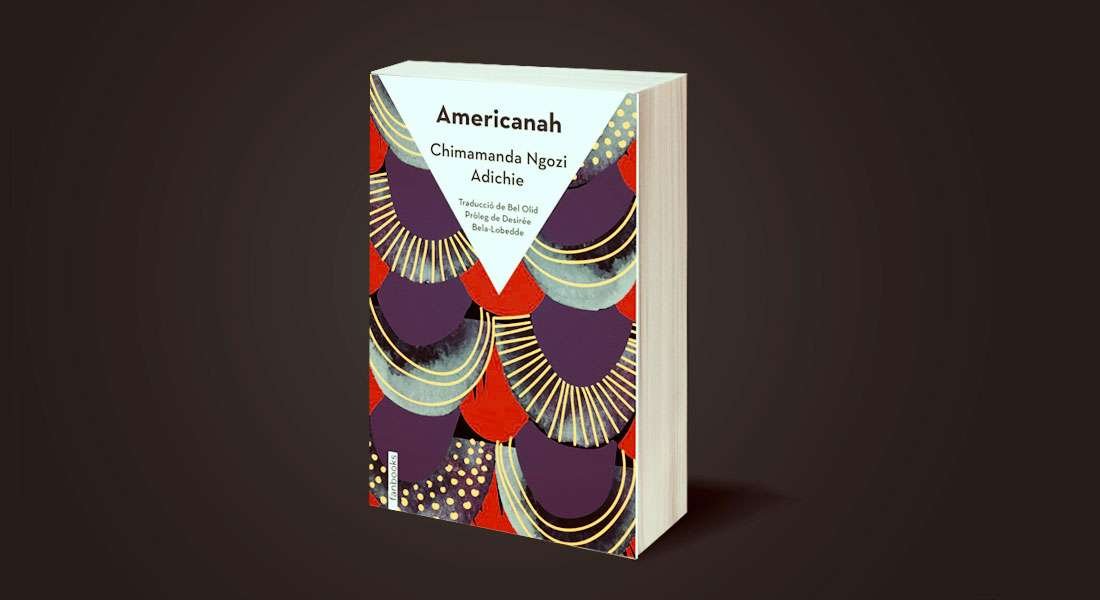 “Mucha inteligencia, poca literatura”. Reseña literaria de AMERICANAH de Chimamanda Ngozi Adichie