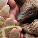 Espacio público sin esfera pública