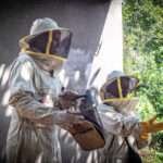 Psicólogos charlatanes (o gurús con título clínico)