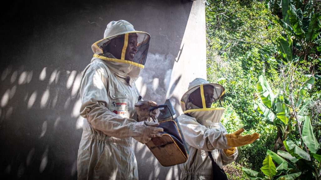 La miel se abre paso como alternativa productiva para mujeres en Tocaña