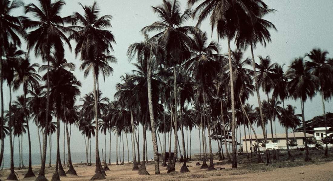 La siesta liberiana, el casino de Mamba Point, los otros