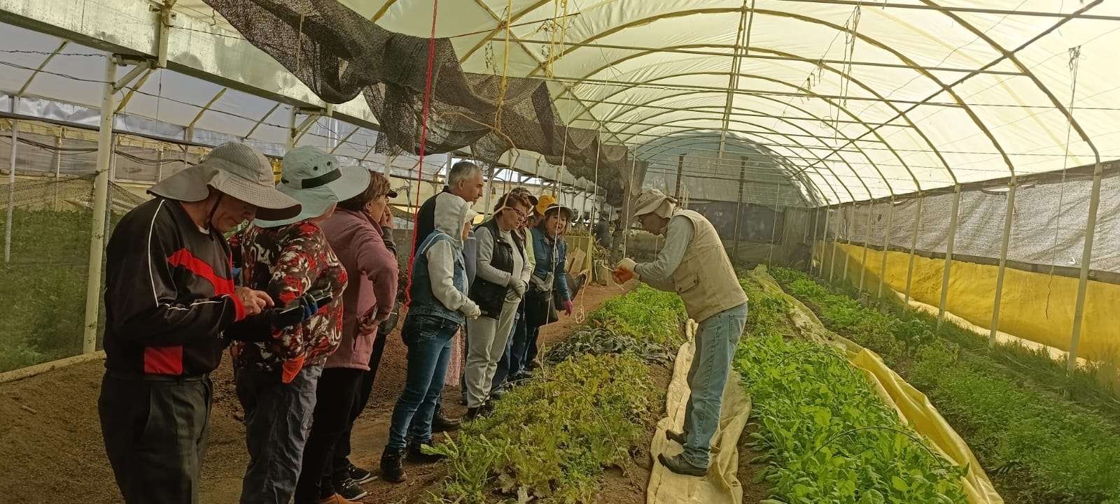 Volver a aprender y compartir: la UMSA abre inscripciones para adultos mayores