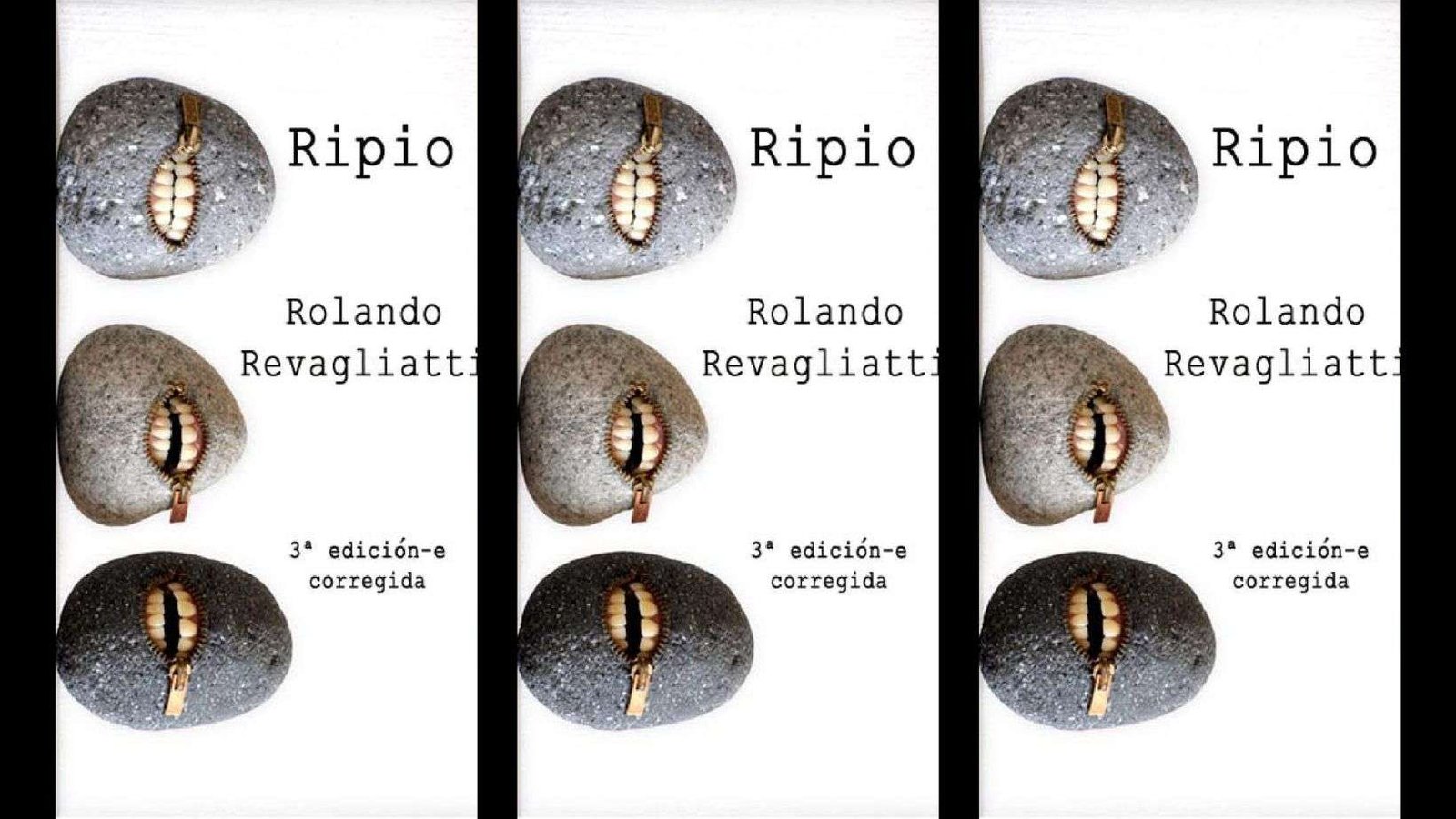 Pequeño dossier sobre el poemario ‘Ripio’ de Rolando Revagliatti.