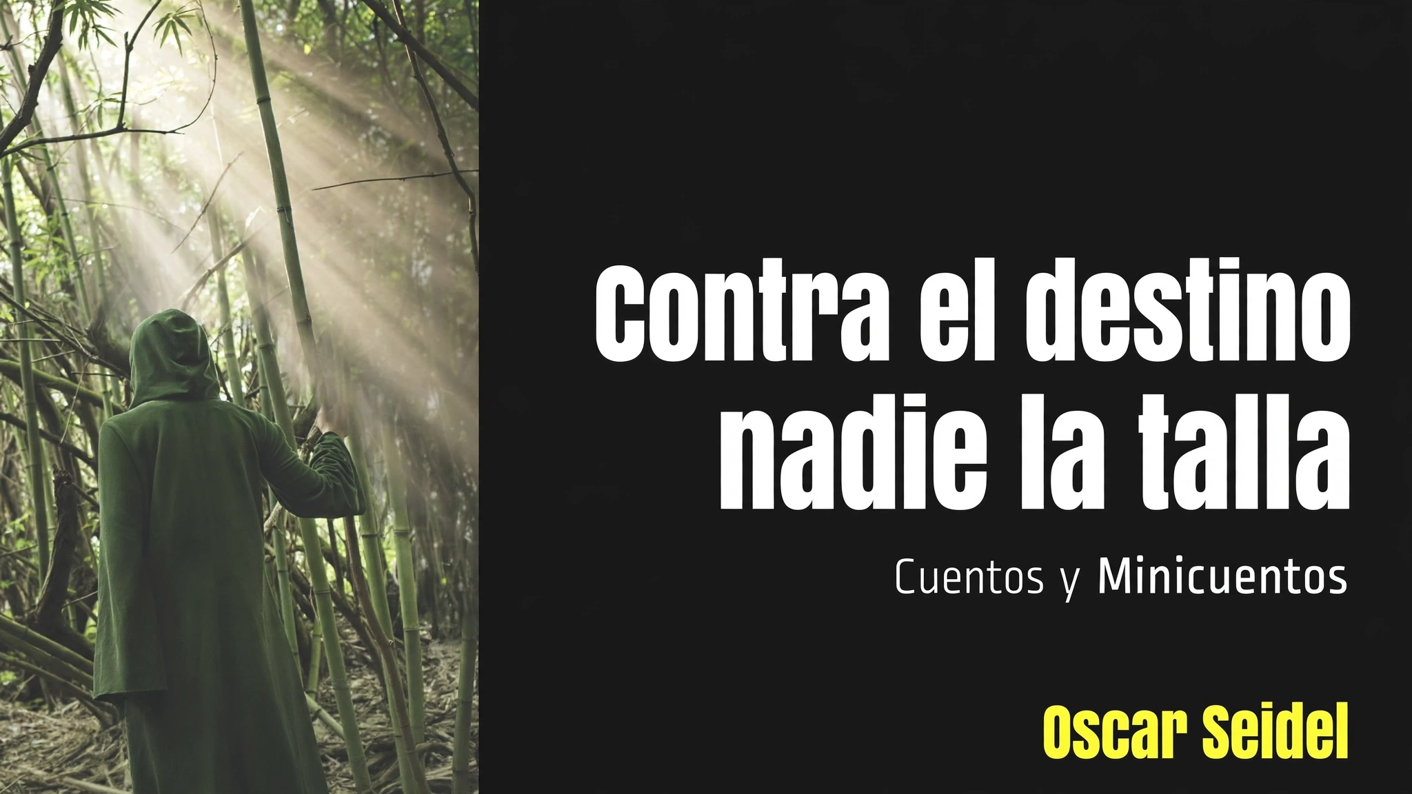 Análisis de Meta IA sobre el libro de cuentos “Contra el destino nadie la talla” de Oscar Seidel