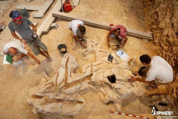 Más allá de la piedra: el yacimiento del Abric Romaní muestra un universo neandertal hecho también de madera